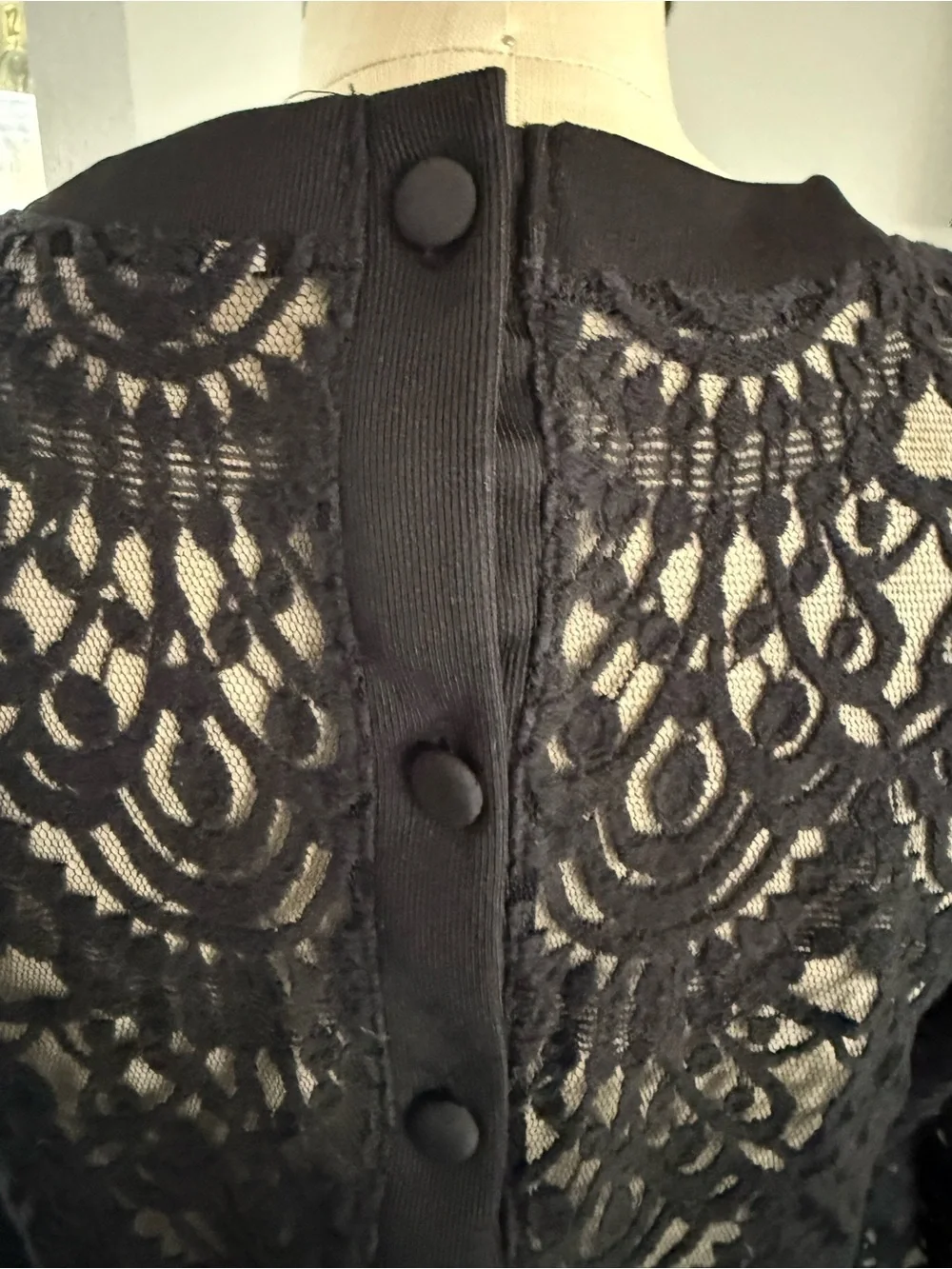 Banana Republic Women’s Black Lace Long Sleeve Top With Back Button Closure S